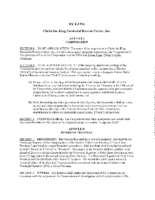 Item 2 By Laws with 2017 draft amendments